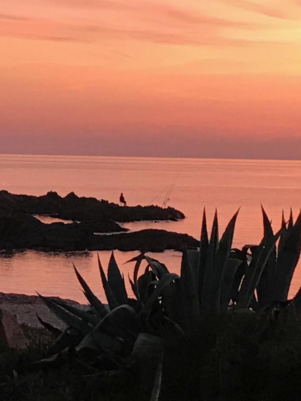 Hotel Thalassa Cargèse المظهر الخارجي الصورة